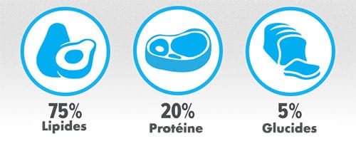 infographie régine cétogène