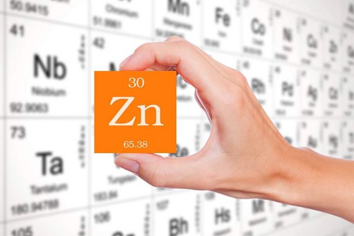 suplementos alimentares de zinco