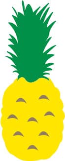 ananas