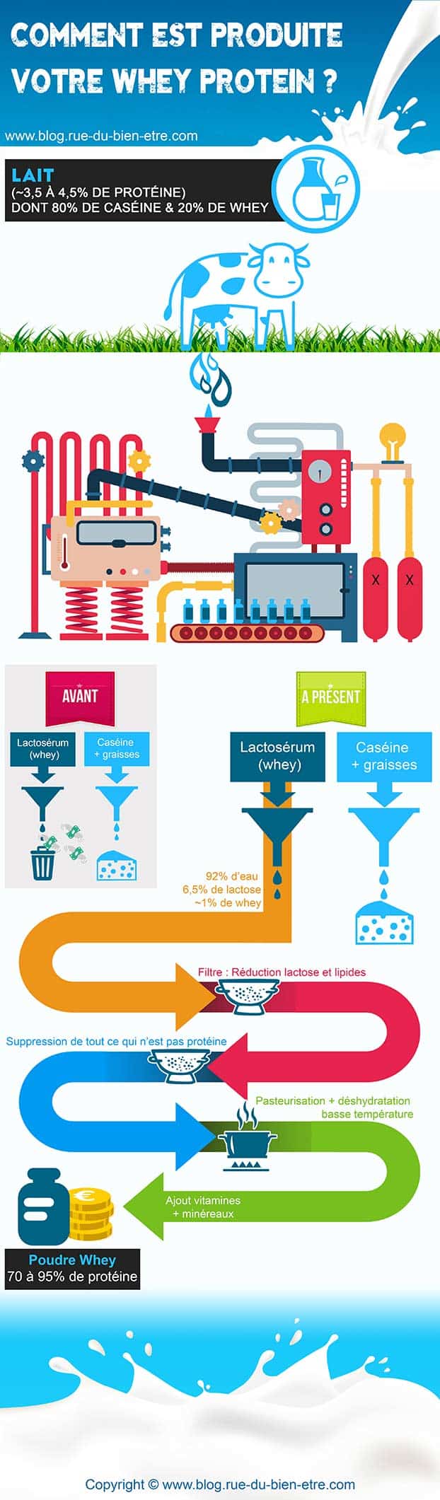 infographie whey proteine