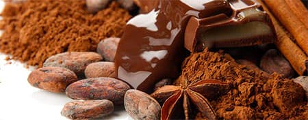 feve cacao et chocolat