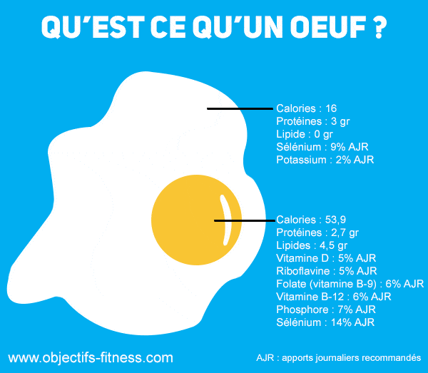 infographie oeuf nutrition