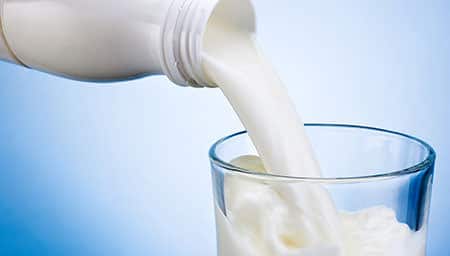 riboflavine vitamine B2 lait