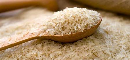 protéine de riz en poudre