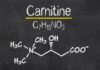 guide l carnitine brûleur de graisse