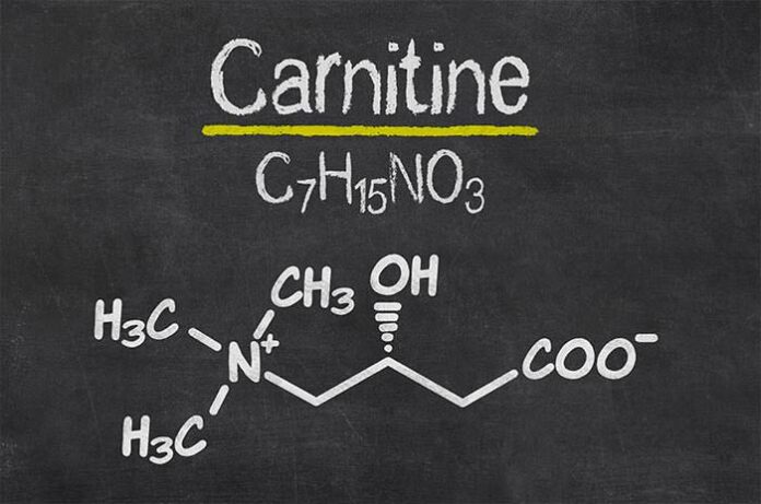 guide l carnitine brûleur de graisse