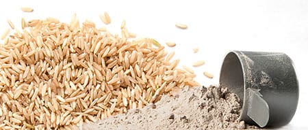 protéine de riz