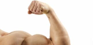 musculation pic biceps