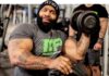 programme biceps triceps ct fletcher