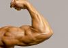 programme-musculation-biceps-gratuit