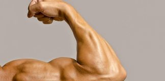 programme-musculation-biceps-gratuit