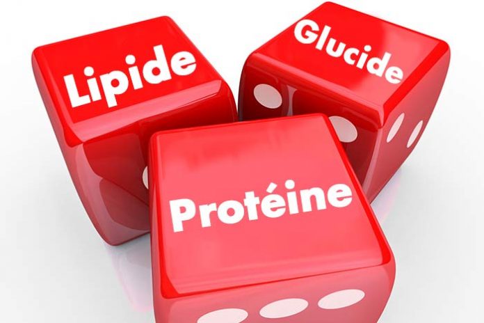 comprendre-répartition-macronutriments-nutrition-musculation