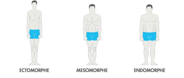 différents-types-de-morphologie-musculation