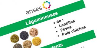 recommandations-nutrition-ANSES-infographie