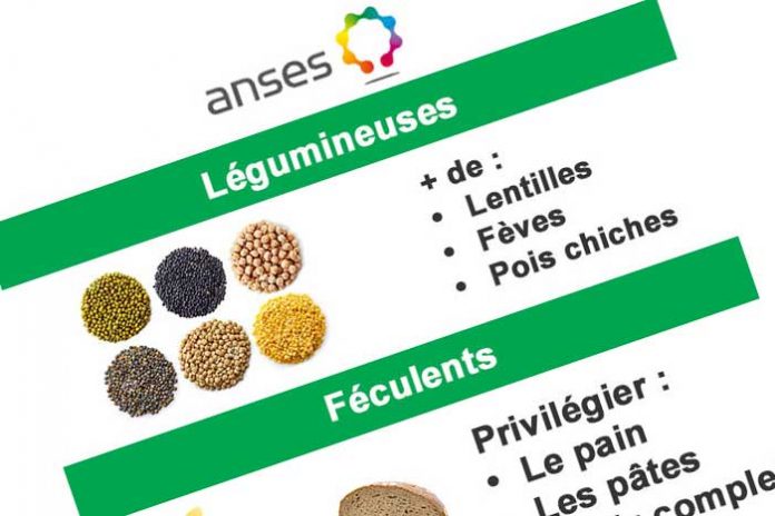 recommandations-nutrition-ANSES-infographie