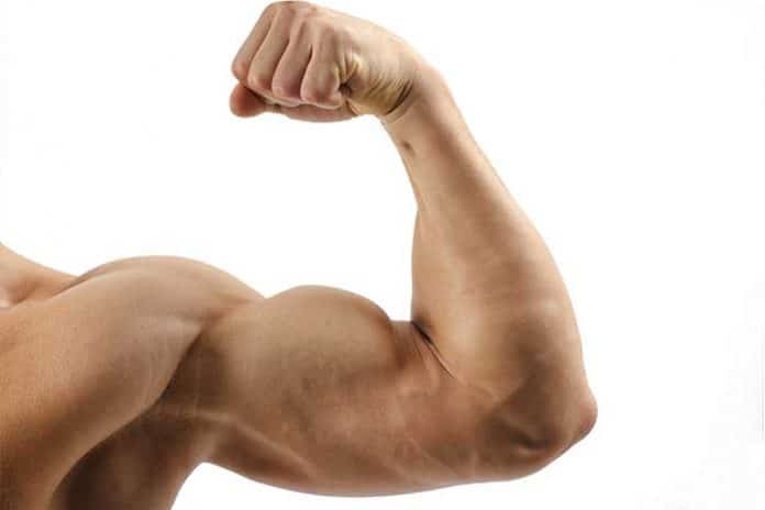 exercice-biceps-machine