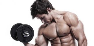 musculation-des-biceps