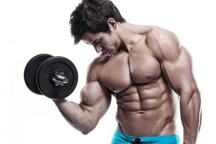 musculation-des-biceps