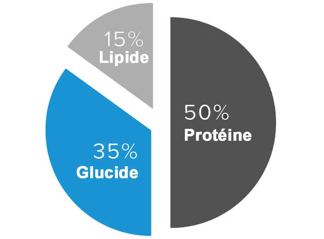 répartition-macronutriments-proteine-glucide-lipide