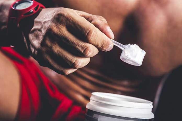 creatine musculation