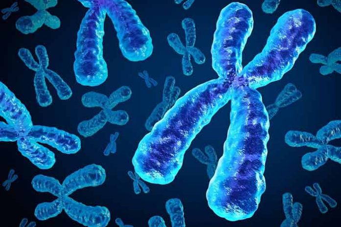 musculation vieillissement chromosome