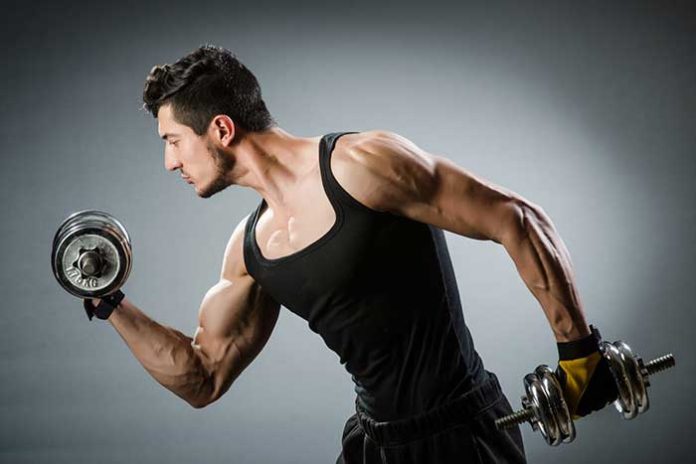 machine musculation biceps