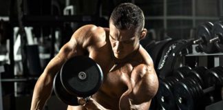 exercices muscler biceps triceps