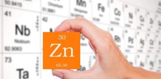 zinc aliment compléments alimentaires