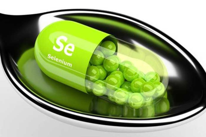 selenium aliments