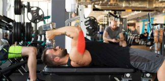 programme musculation triceps enormes